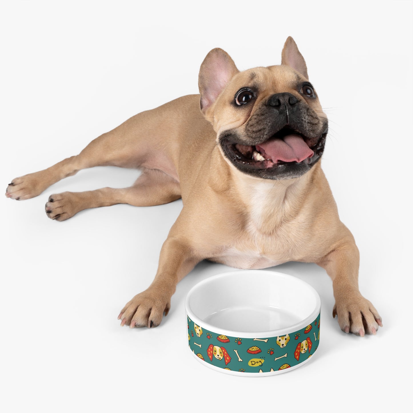 Fun Dog Design Pet Bowl – Perfect for Dog Lovers & Pet Celebrations